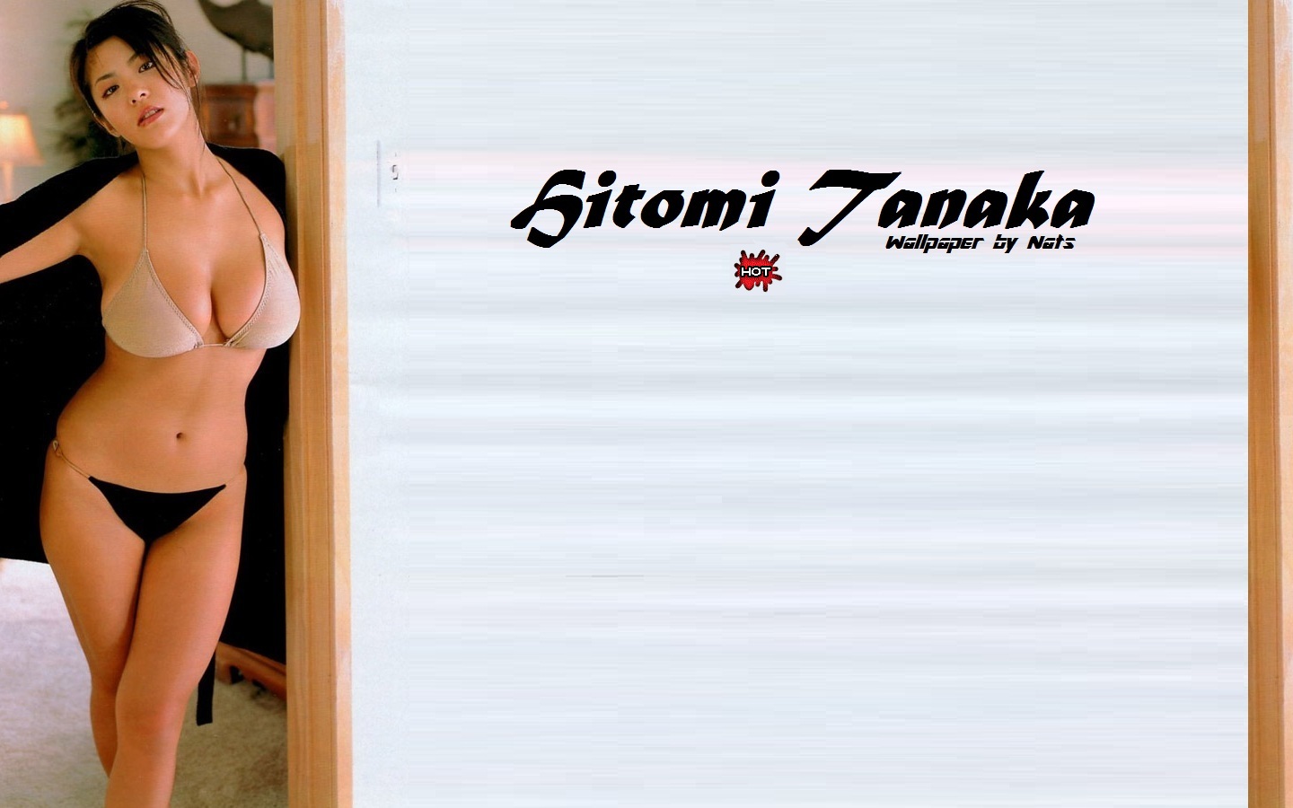 Download full size Hitomi Tanaka wallpaper / Celebrities Female / 1440x900