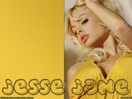 Download Jesse Jane / Celebrities Female