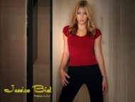 Download Jessica Biel / Celebrities Female