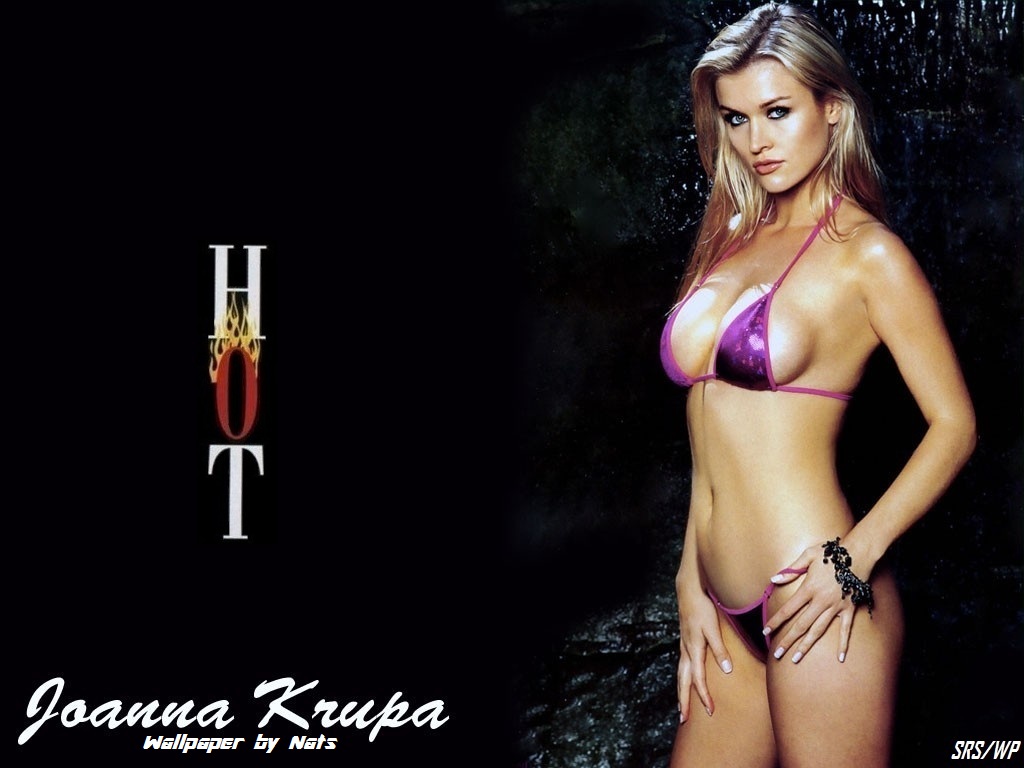 Download Joanna Krupa / Celebrities Female wallpaper / 1024x768
