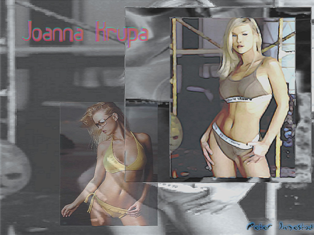 Full size Joanna Krupa wallpaper / Celebrities Female / 1024x768