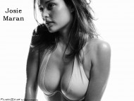 Download Josie Maran / Celebrities Female