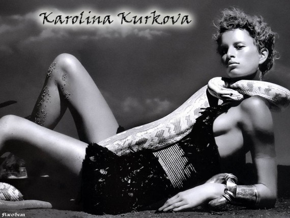 Free Send to Mobile Phone Karolina Kurkova Celebrities Female wallpaper num.11
