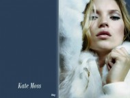 Download Kate Moss / Celebrities Female