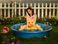 Download Katy Perry / Celebrities Female