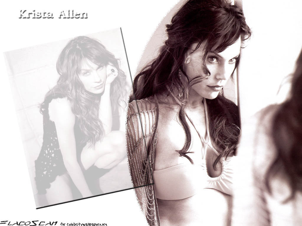 Download Krista Allen / Celebrities Female wallpaper / 1024x768