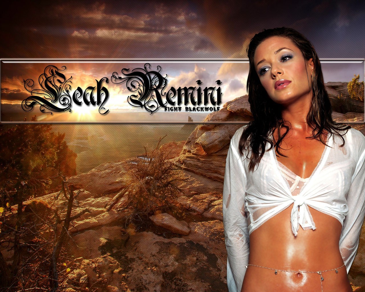 Download full size Leah Remini wallpaper / Celebrities Female / 1280x1024