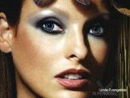 Download Linda Evangelista / Celebrities Female