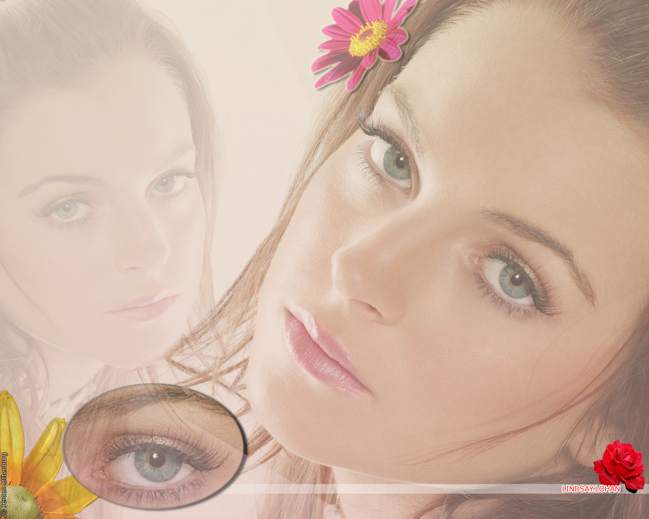 Download High quality Lindsay Lohan wallpaper / Celebrities Female / 1280x1024