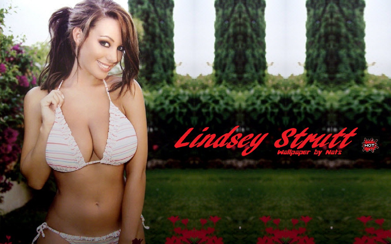 Download full size Lindsey Strutt wallpaper / Celebrities Female / 1280x800