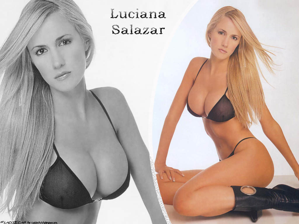 Download Luciana Salazar / Celebrities Female wallpaper / 1024x768