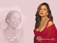 Madhuri Dixit / Celebrities Female