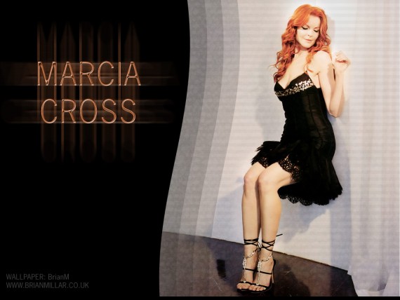 Free Send to Mobile Phone Marcia Cross Celebrities Female wallpaper num.3