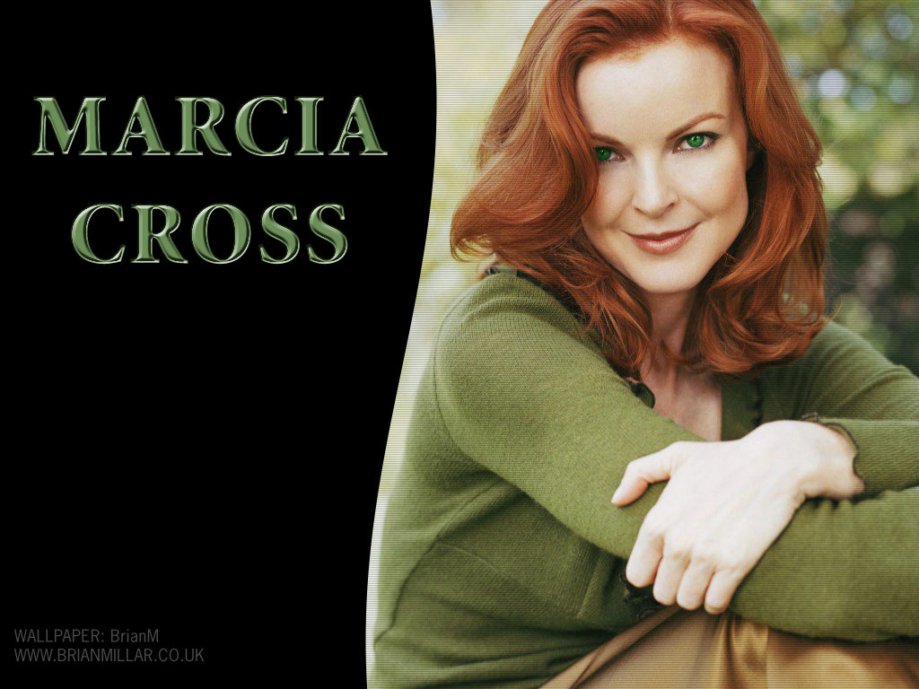 Full size Marcia Cross wallpaper / Celebrities Female / 1024x768