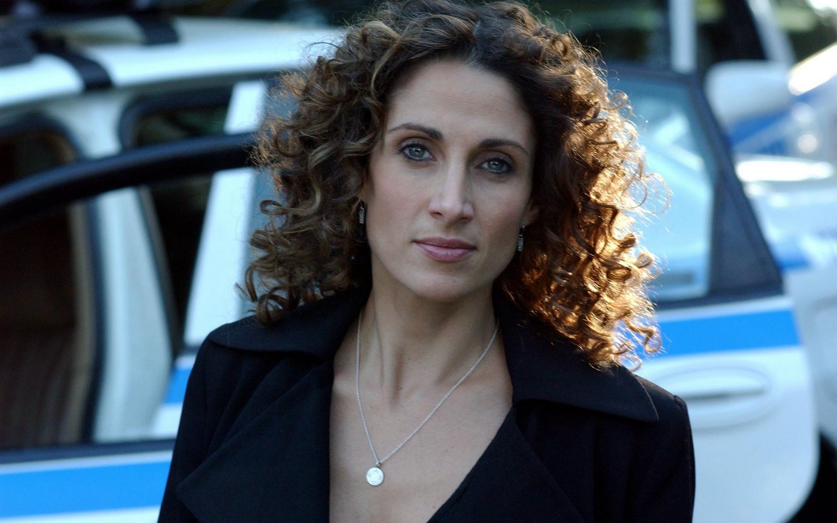 Download High quality C.S.I. N.Y. Melina Kanakaredes wallpaper / 1680x1050