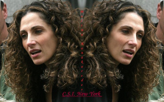 Free Send to Mobile Phone C.S.I.  N.Y. Melina Kanakaredes wallpaper num.3