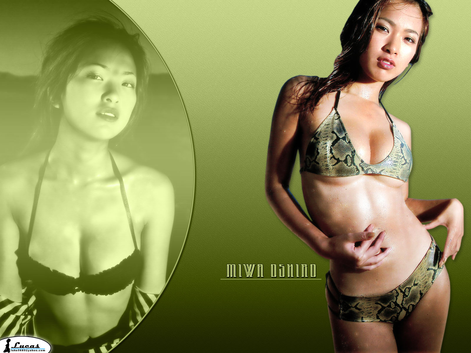 Download full size Miwa Ohshiro wallpaper / Celebrities Female / 1600x1200