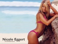 Nicole Eggert / Celebrities Female