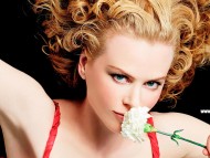 Nicole Kidman / High quality Celebrities Female 