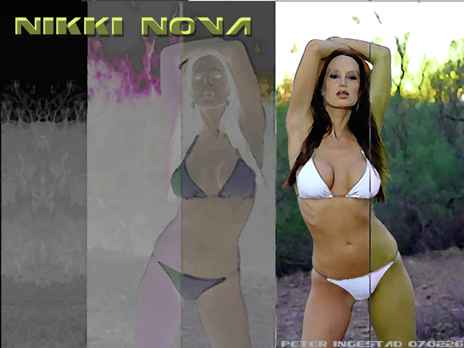 Download High quality Nikki Nova wallpaper / Celebrities Female / 1600x1200