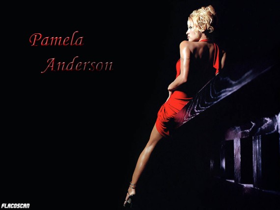 Free Send to Mobile Phone Pamela Anderson Celebrities Female wallpaper num.15