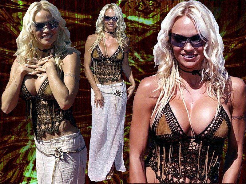 Full size Pamela Anderson wallpaper / Celebrities Female / 800x600