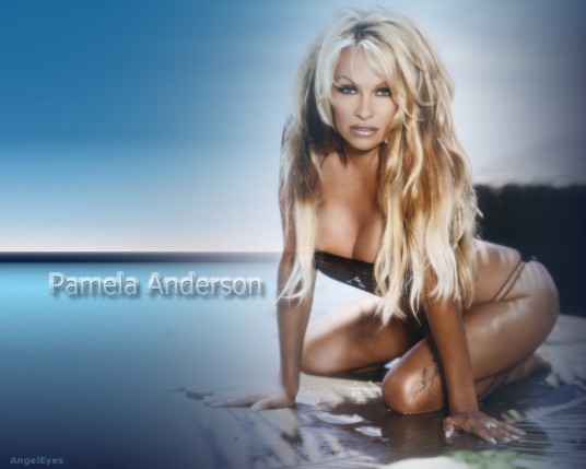 Free Send to Mobile Phone Pamela Anderson Celebrities Female wallpaper num.90