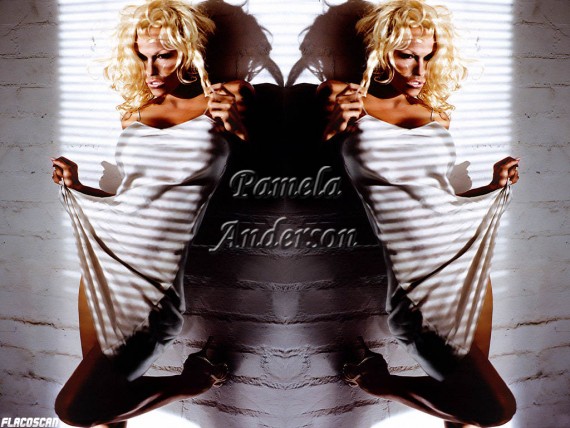 Free Send to Mobile Phone Pamela Anderson Celebrities Female wallpaper num.16
