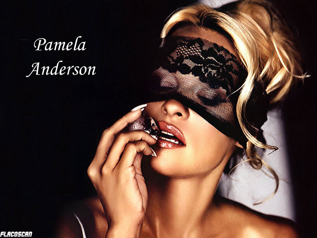 Full size Pamela Anderson wallpaper / Celebrities Female / 1024x768