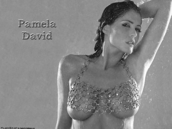 Free Send to Mobile Phone Pamela David Celebrities Female wallpaper num.2