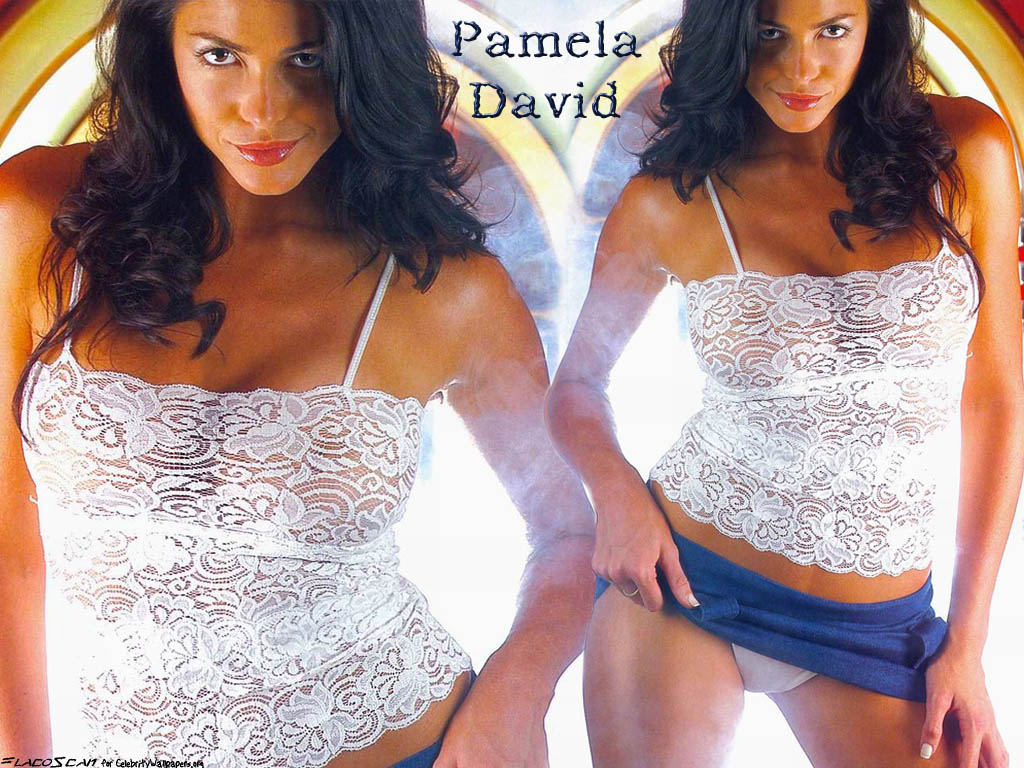 Full size Pamela David wallpaper / Celebrities Female / 1024x768