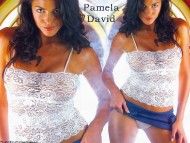 Pamela David / Celebrities Female