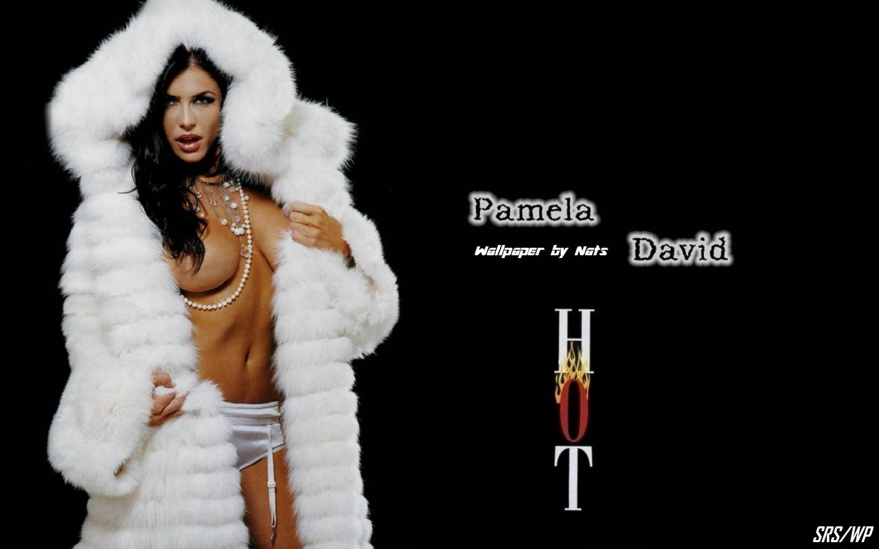 Download HQ Pamela David wallpaper / Celebrities Female / 1280x800