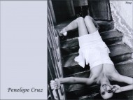 Penelope Cruz / Celebrities Female