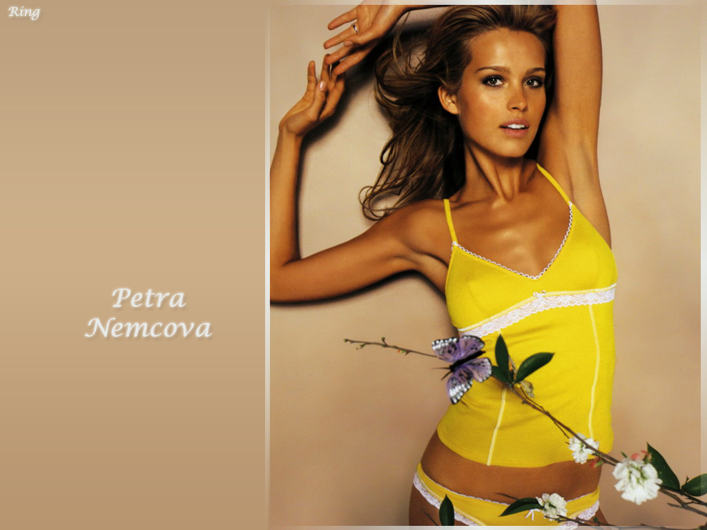 Download Petra Nemcova / Celebrities Female wallpaper / 1024x768