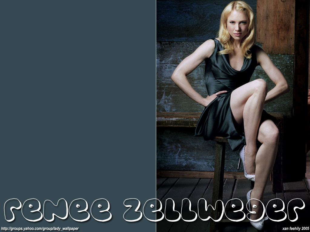 Full size Renee Zellweger wallpaper / Celebrities Female / 1024x768