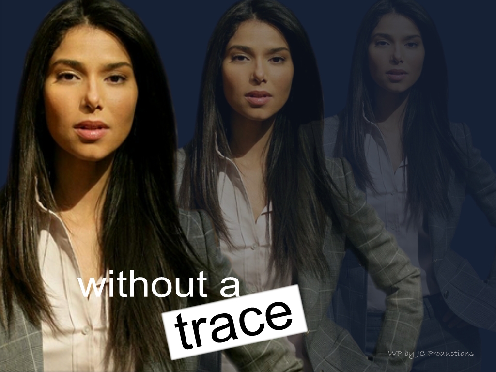 Full size without a trace Roselyn Sanchez wallpaper / 1024x768