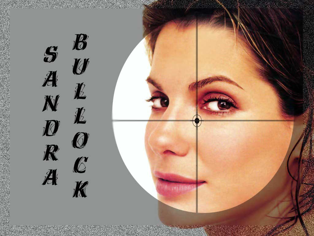Full size Sandra Bullock wallpaper / Celebrities Female / 1024x768