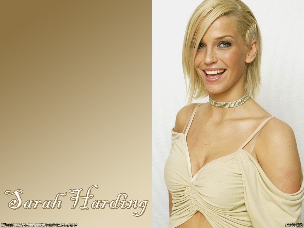 Download Sarah Harding / Celebrities Female wallpaper / 1024x768