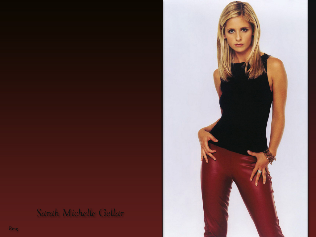 Download Sarah Michelle Gellar / Celebrities Female wallpaper / 1024x768