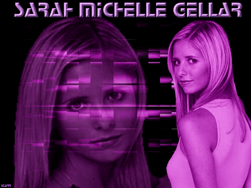 Download Sarah Michelle Gellar / Celebrities Female wallpaper / 800x600
