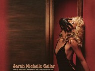 Sarah Michelle Gellar / Celebrities Female