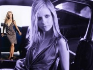 Download Sarah Michelle Gellar / High quality Celebrities Female 