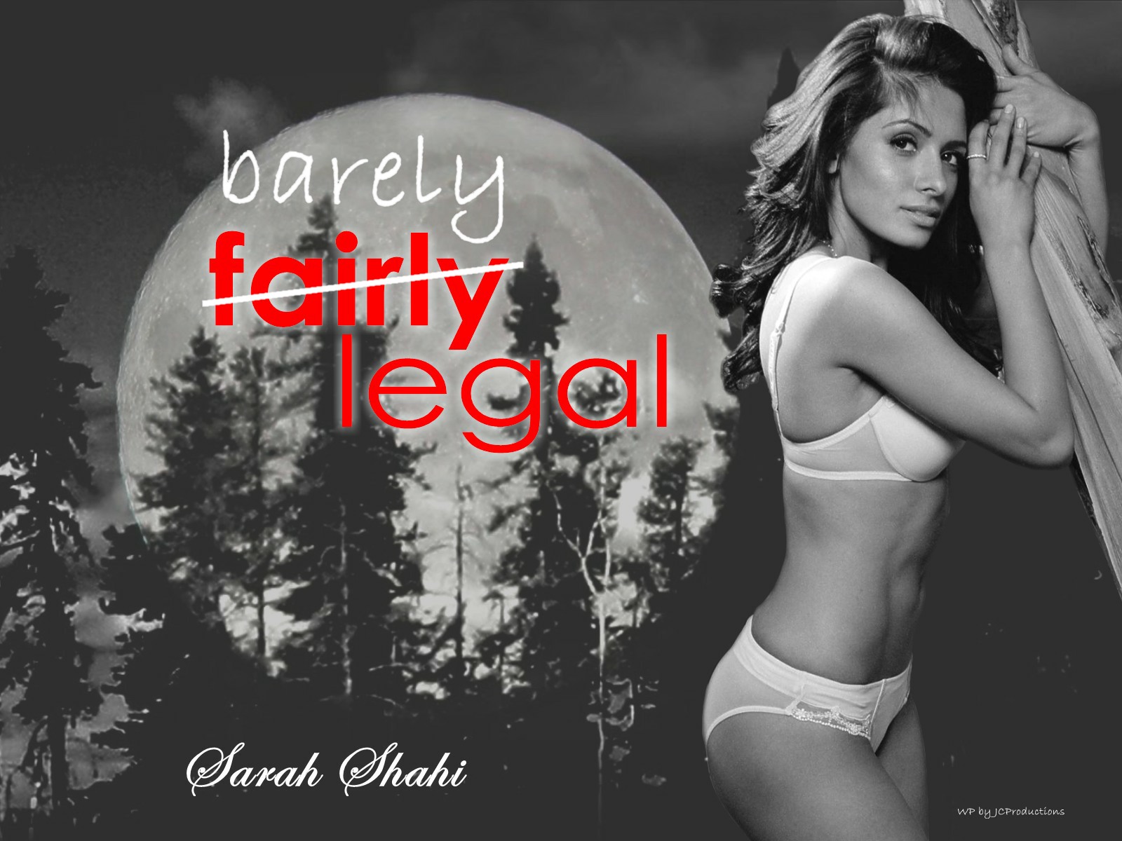 Download HQ fairly legal Sarah Shahi wallpaper / 1600x1200