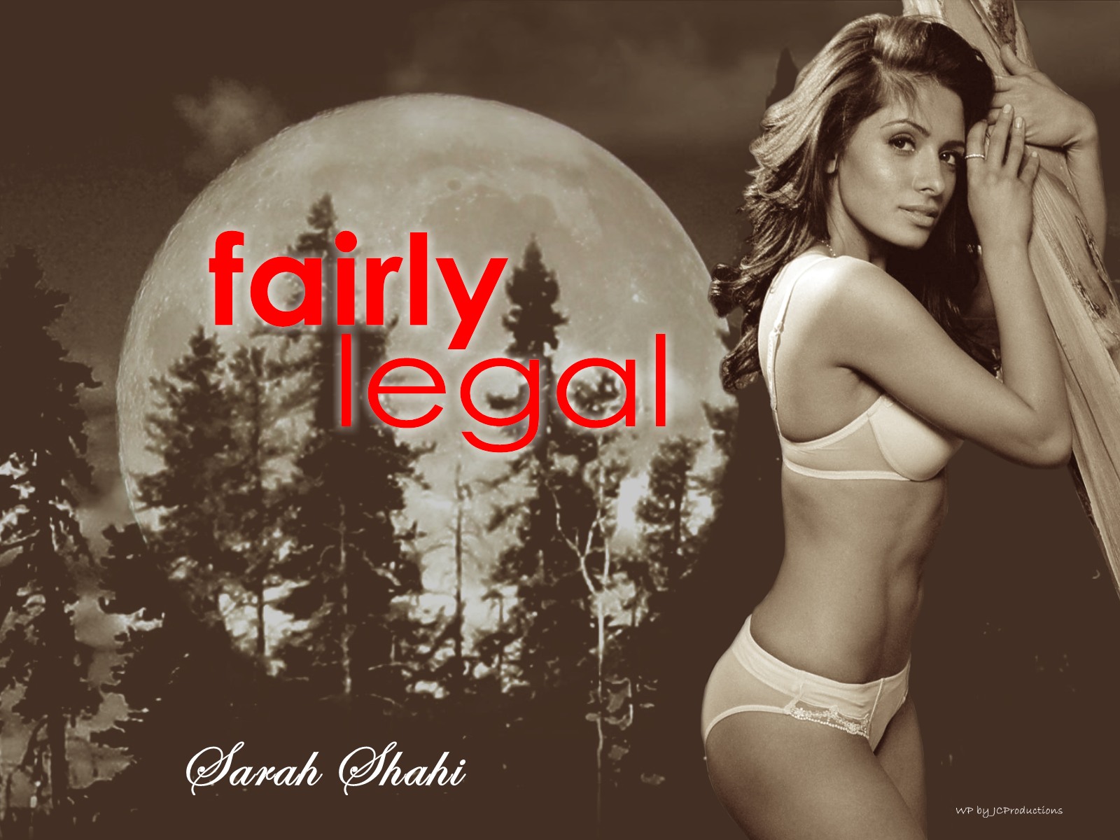 Download High quality fairly legal Sarah Shahi wallpaper / 1600x1200