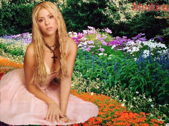 Free Send to Mobile Phone Shakira Celebrities Female wallpaper num.18
