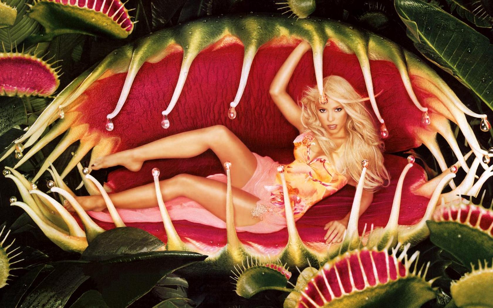 Download HQ Shakira wallpaper / Celebrities Female / 1680x1050