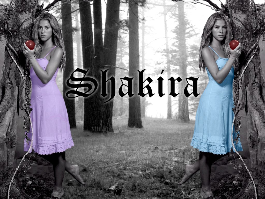 Full size Shakira wallpaper / Celebrities Female / 1024x768