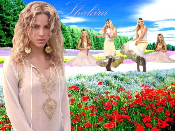 Free Send to Mobile Phone Shakira Celebrities Female wallpaper num.48