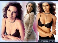 Shania Twain / Celebrities Female
